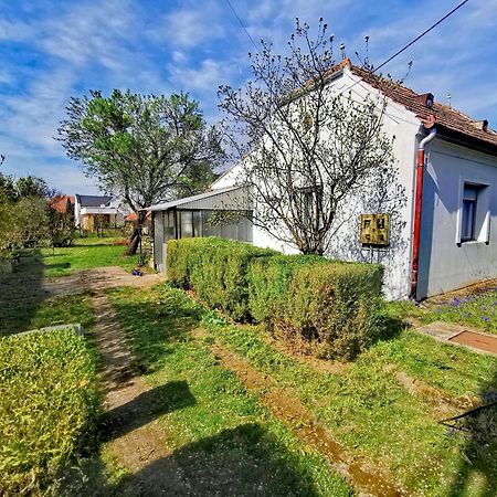 Apartamento Dolce Weekend Balaton Balatongyörök Exterior foto